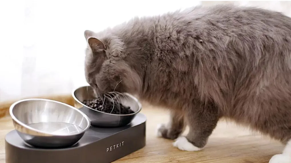 Petkit Fresh Nano Metal Adjustable Double Bowls